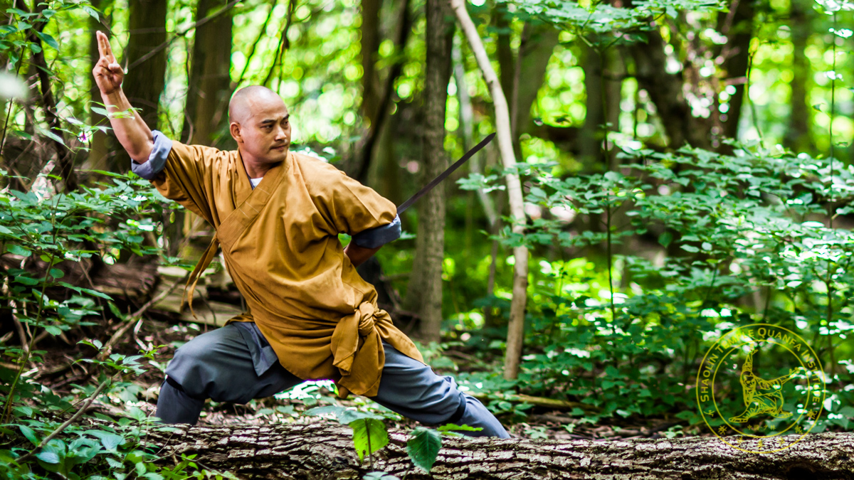 STQI-Martial-Arts-Kung-Fu-Toronto-Markham-Shi-Guo-Song