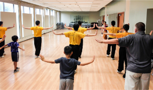 Kungfu300px